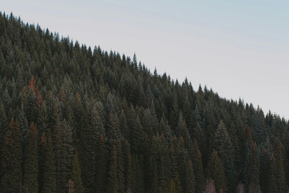 Invloed houtkachel op luchtvochtigheid