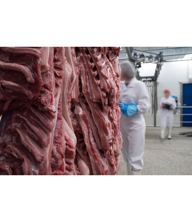 PU-Stivale Bekina Steplite - EasyGrip, puntale in acciaio (S4), bianco