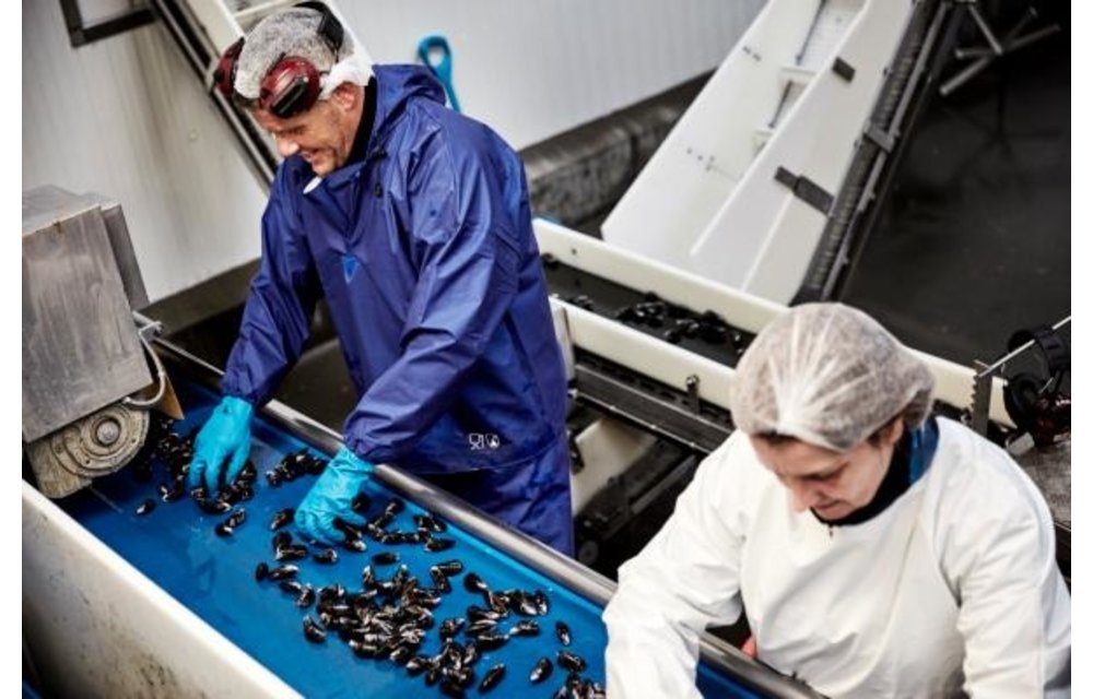 Reinigungsbekleidung Schlupf-Jacke Cleaning ELKA