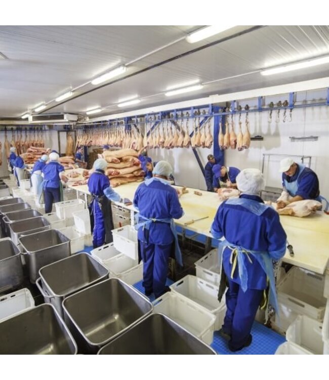 Notrax Arbeitsplatzmatte Sani-Flex Food 910 x 610 mm