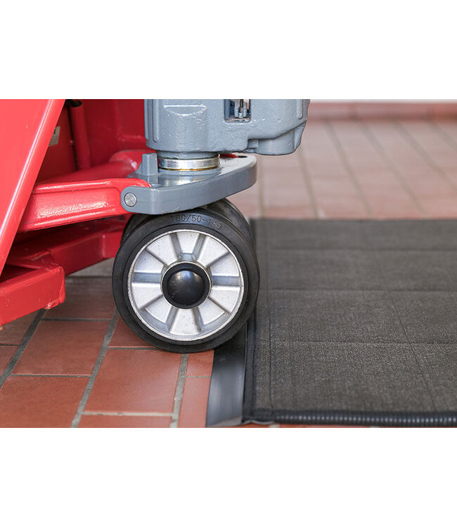 Tapis de désinfection avec rampe d'accès -  long côté