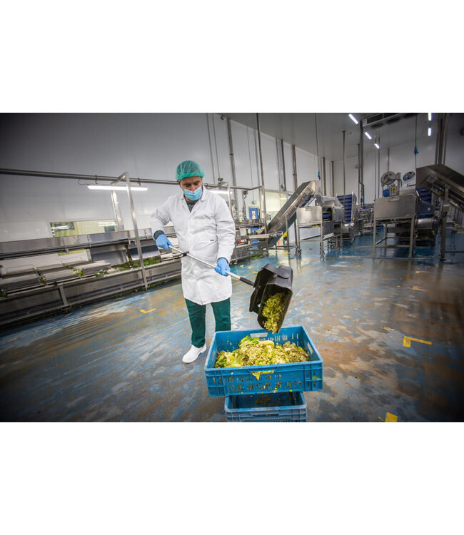 Vikan Kit pelle balai, 350 mm, Medium