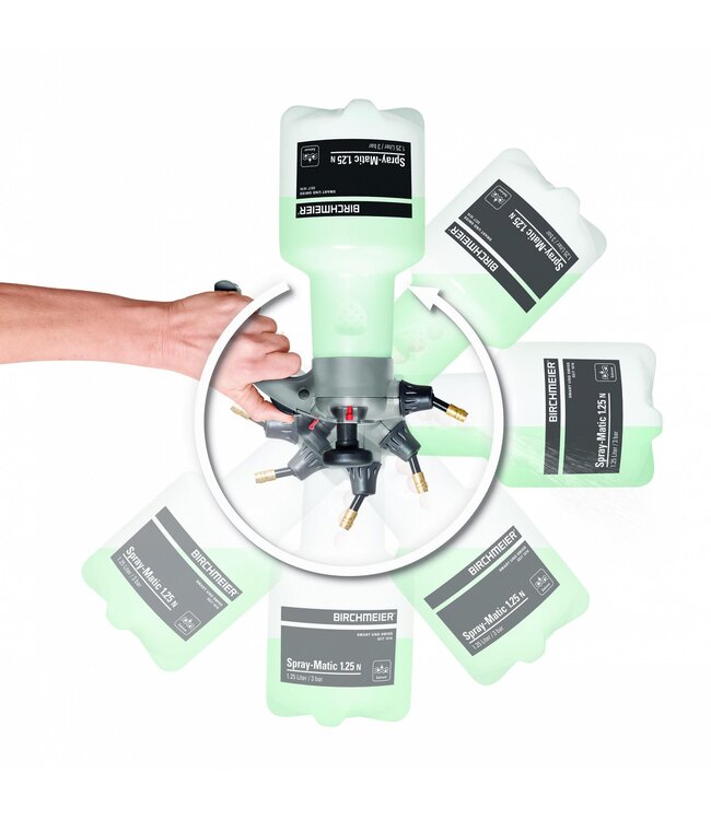 Birchmeier Spray-Matic 1.25 N / 360°