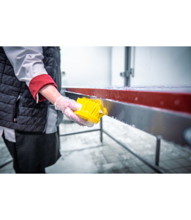 Vikan Brosse à main L, 200 mm, Dur