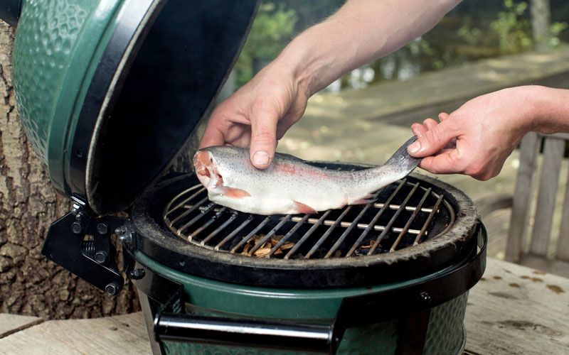 Big Green Egg ® Wood Chips Hickory