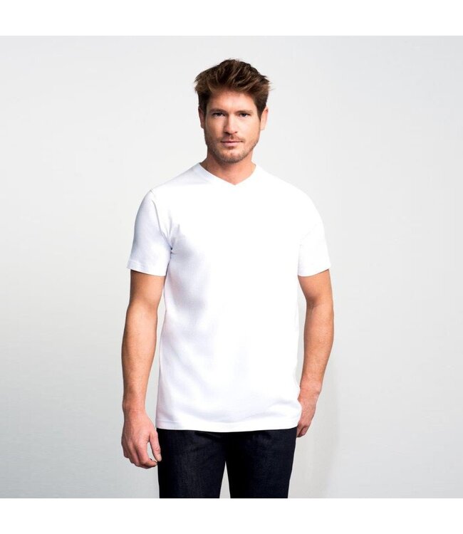 Basic 2-pack v-hals t-shirt wit
