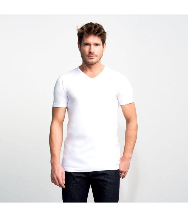 Basic Fit 2-pack v-hals t-shirt wit