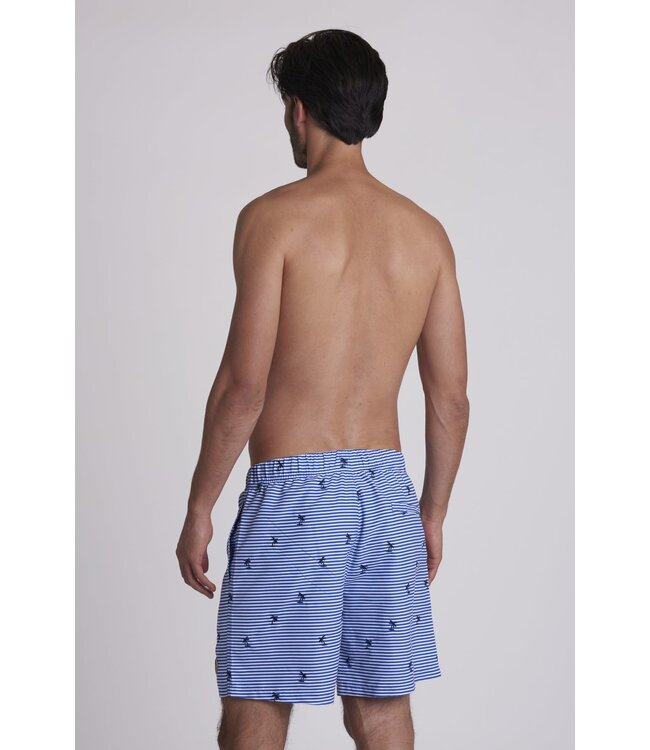 Shiwi zwemshort blauwe streep palmbomen