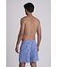 Shiwi zwemshort blauwe streep palmbomen