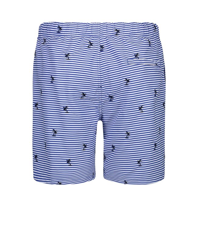 Shiwi zwemshort blauwe streep palmbomen