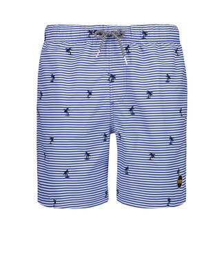 Shiwi zwemshort blauwe streep palmbomen
