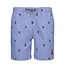 Shiwi zwemshort blauwe streep palmbomen