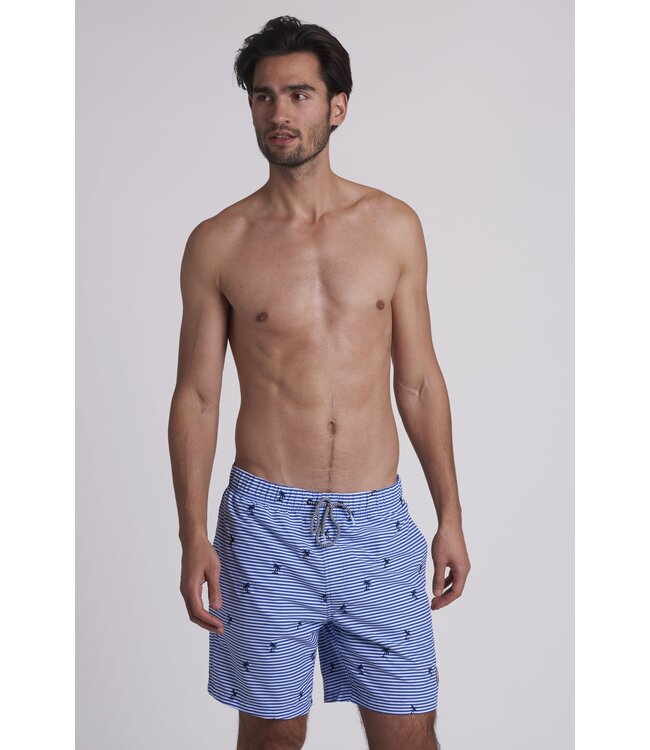 Shiwi zwemshort blauwe streep palmbomen