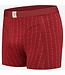 Underwear boxer Bloody Stripes