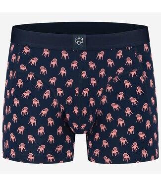 A-dam Underwear boxer Pink Plastic