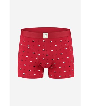 A-dam Underwear boxer Ray