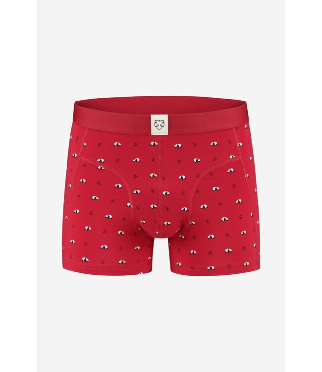 Underwear boxer Ray