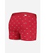 Underwear boxer Ray