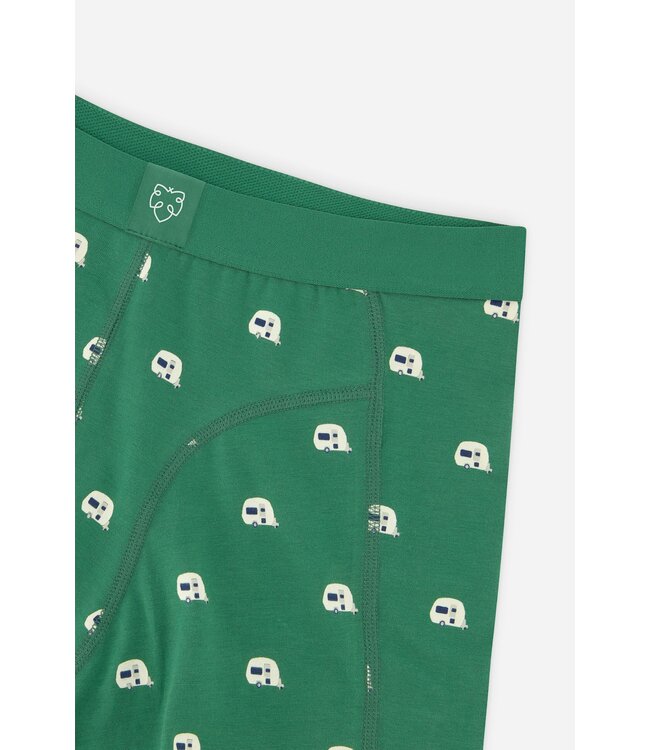 boxer Green Caravan