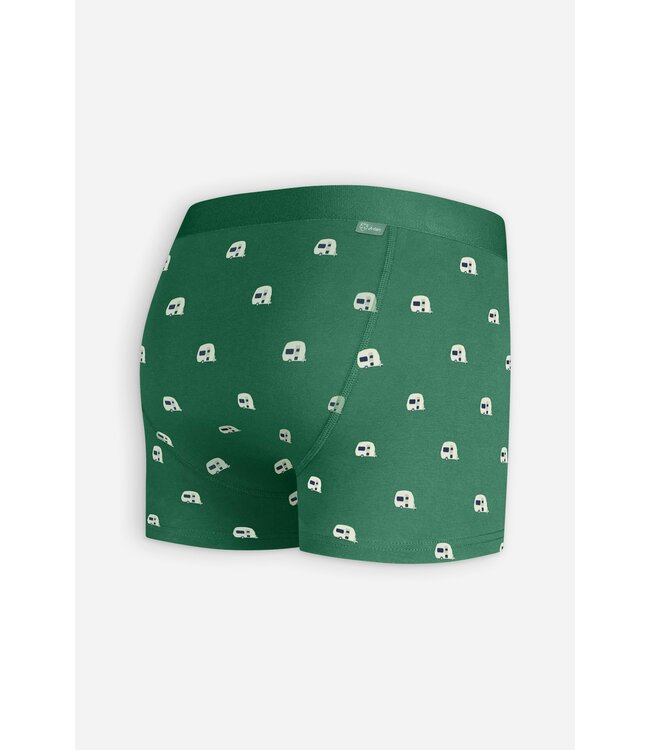 boxer Green Caravan