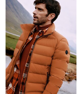 Reset Hampstead jack herfst oranje