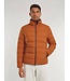 Hampstead jack herfst oranje