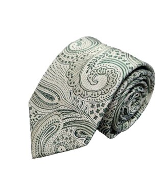 Fibre Progetto Premium stropdas + pochet paisley groen
