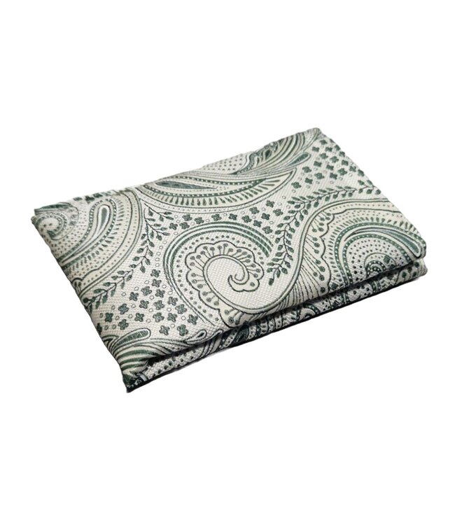 Progetto Premium stropdas + pochet paisley groen