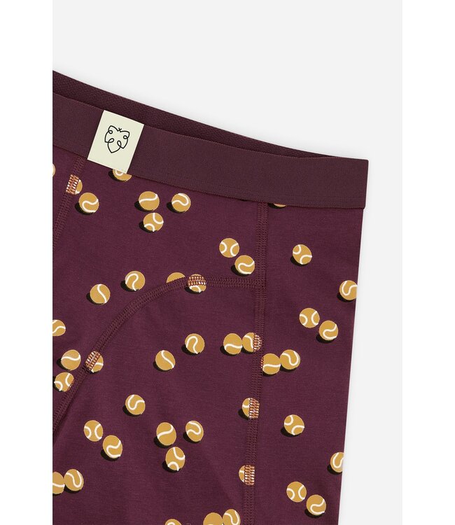 boxer Burgundy Tennis Balls