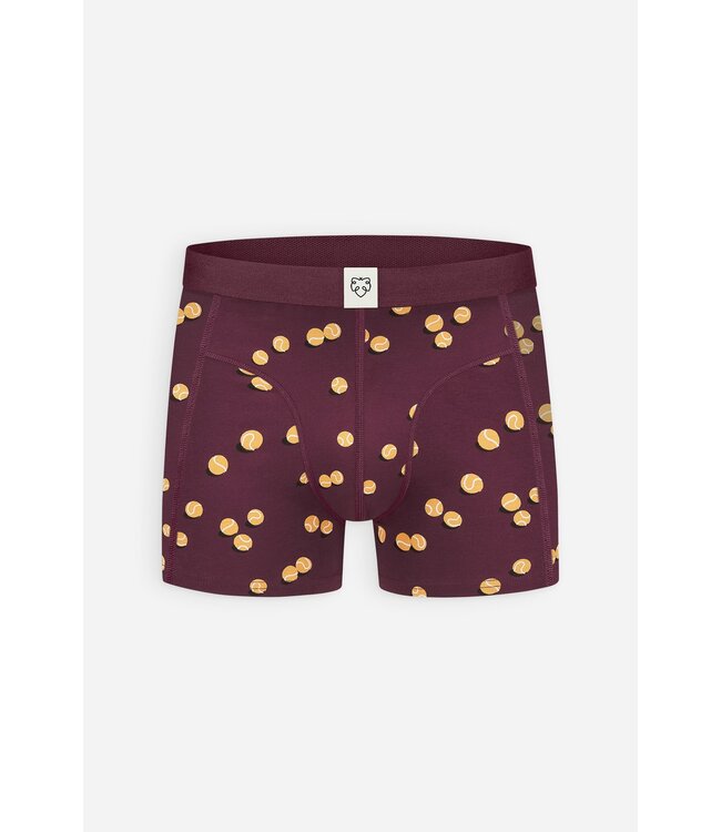boxer Burgundy Tennis Balls