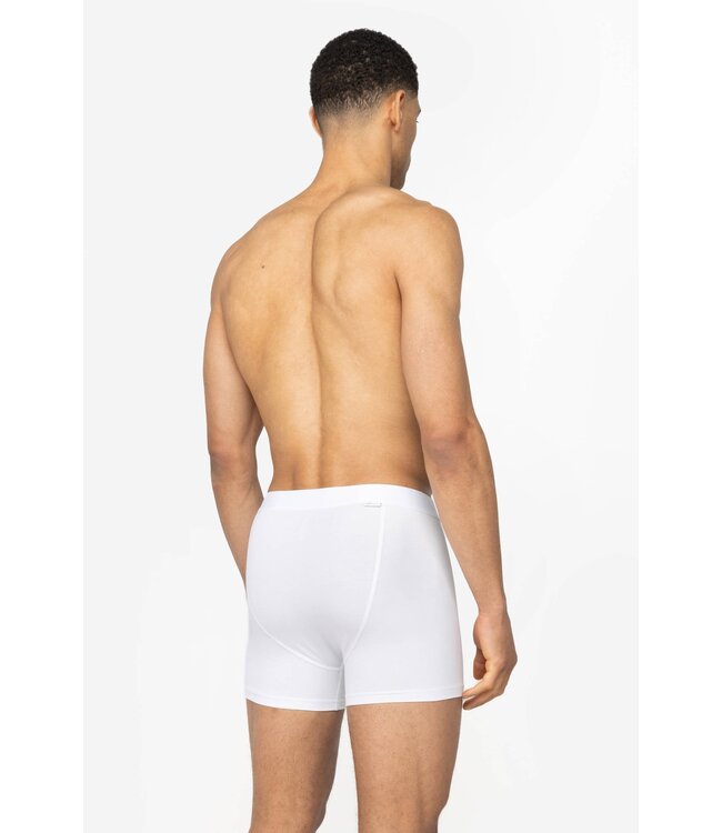 Okke boxer wit