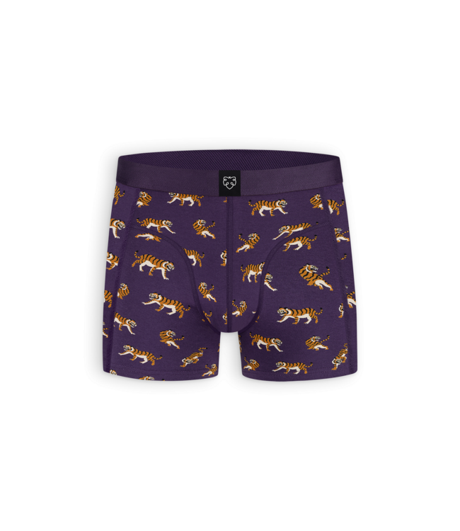 boxer Purple Tigers