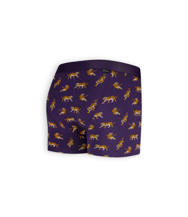 boxer Purple Tigers