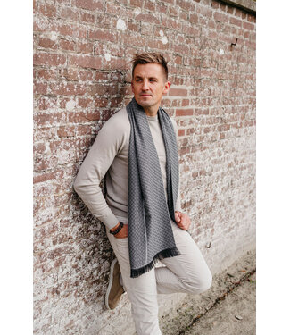 Carlo Lanza sjaal Armonia grijs