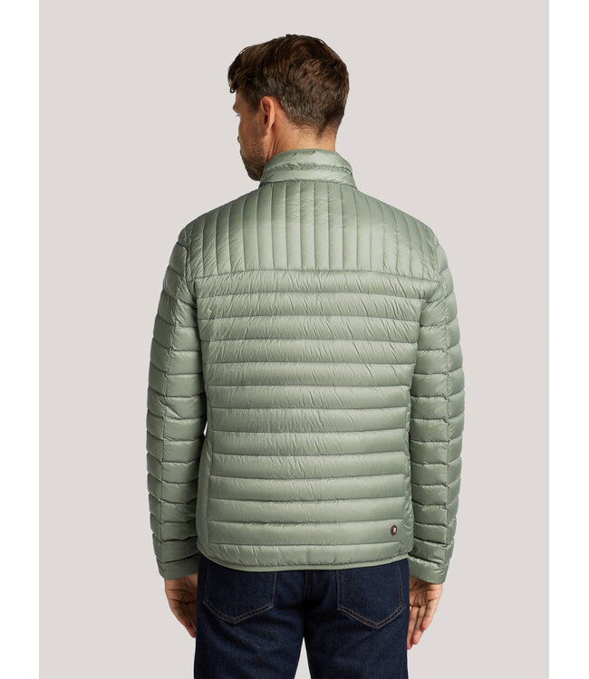 Los Angeles jack groen