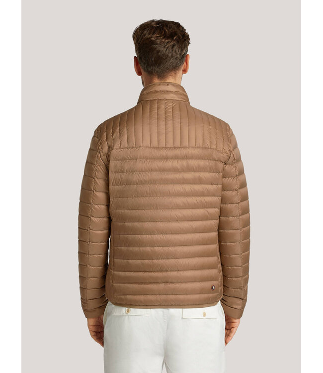 Los Angeles jack bruin