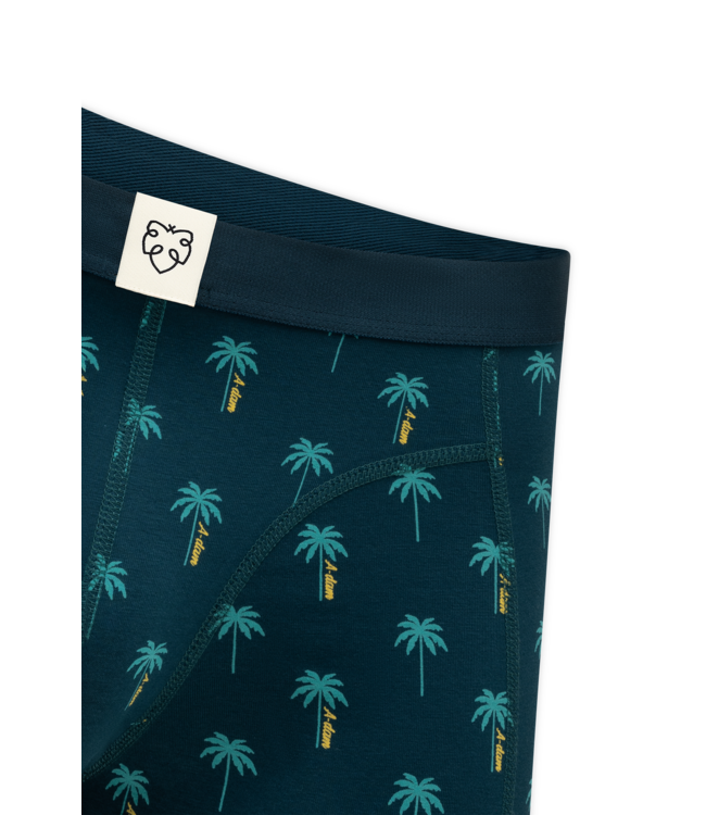 boxer Blue A Dam Palms