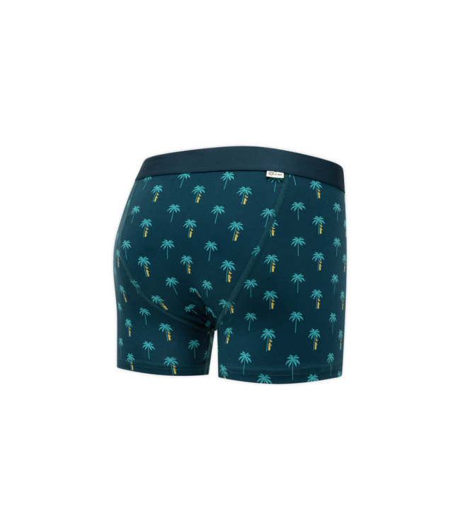 boxer Blue A Dam Palms
