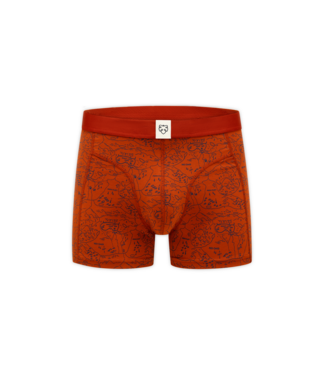 A-dam Underwear boxer Ginger Scoutmap