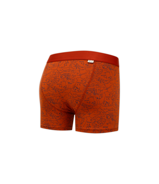 boxer Ginger Scoutmap