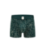 boxer Green Maths Pro
