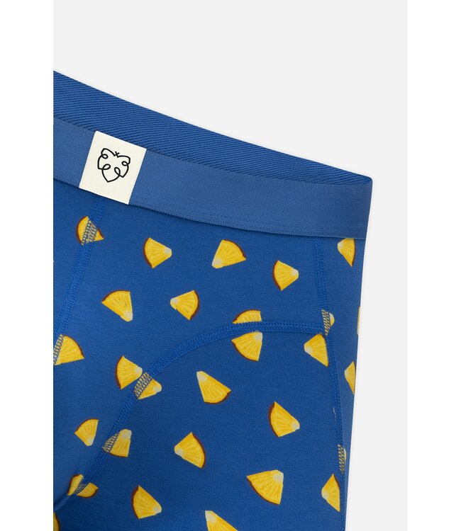 giftbox Blue Pineapple Juice