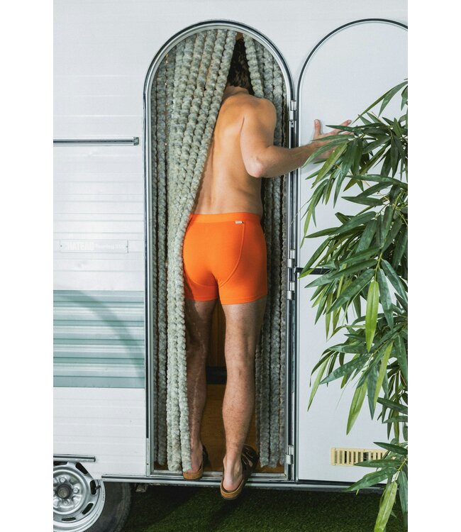 boxer Orange Solid