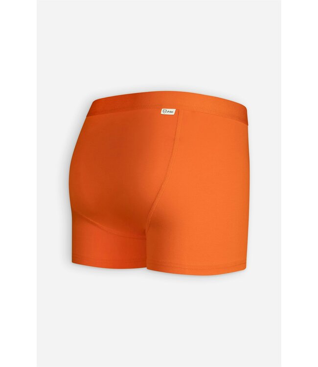 boxer Orange Solid