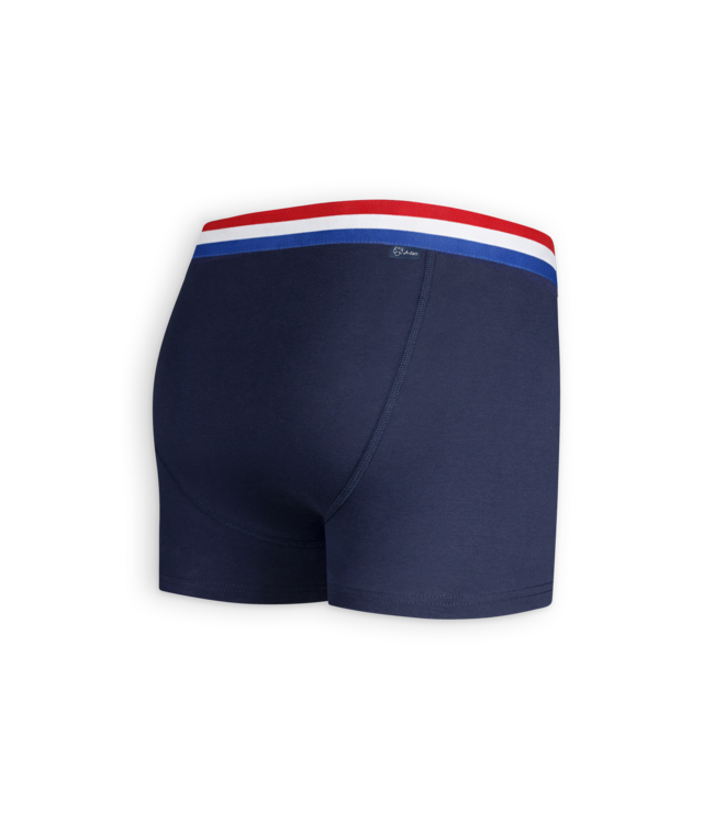 boxer Blue Dutch Flag