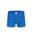 boxer Blue Beers