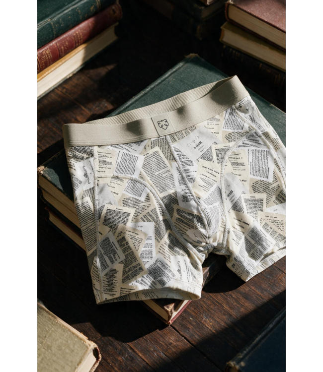 boxer Agate Gray Book Pages