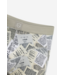 boxer Agate Gray Book Pages