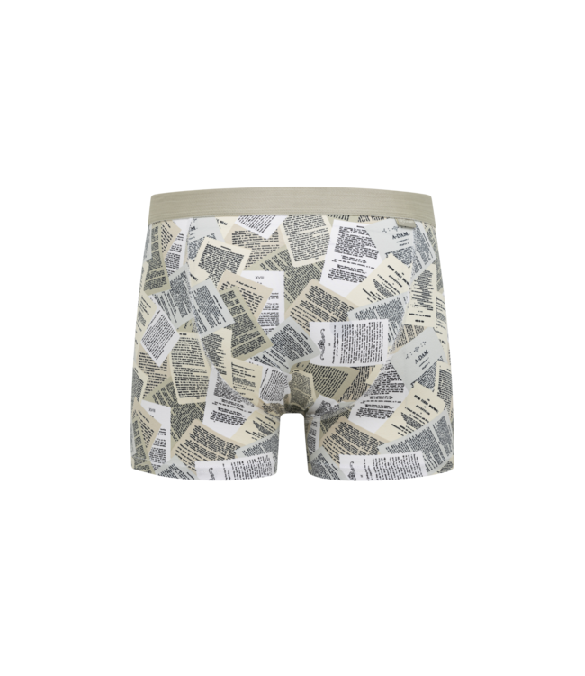 boxer Agate Gray Book Pages