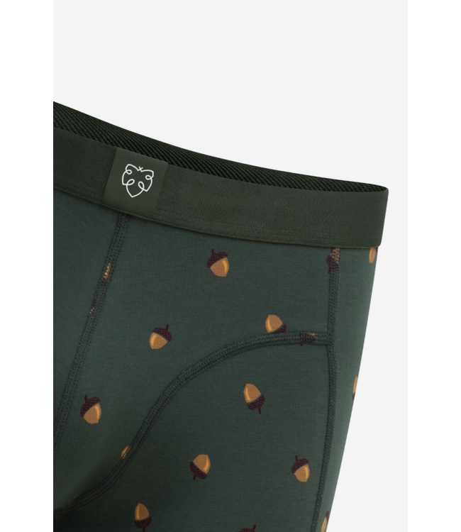 boxer Dark Green Acorn
